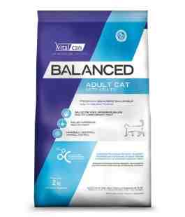 BALANCE GATO ADULTO X 2 KG 
